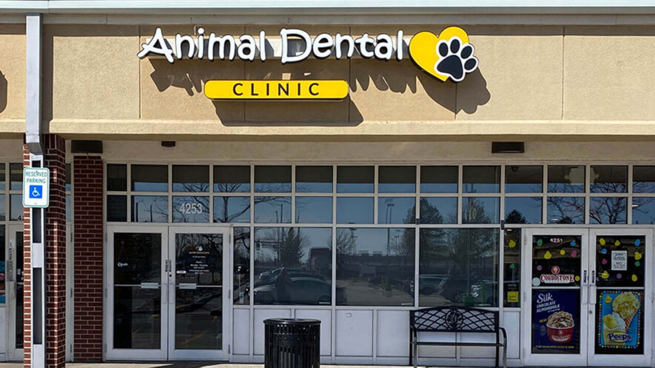 Best Veterinary Hospital In Aurora, CO Animal Dental Clinic