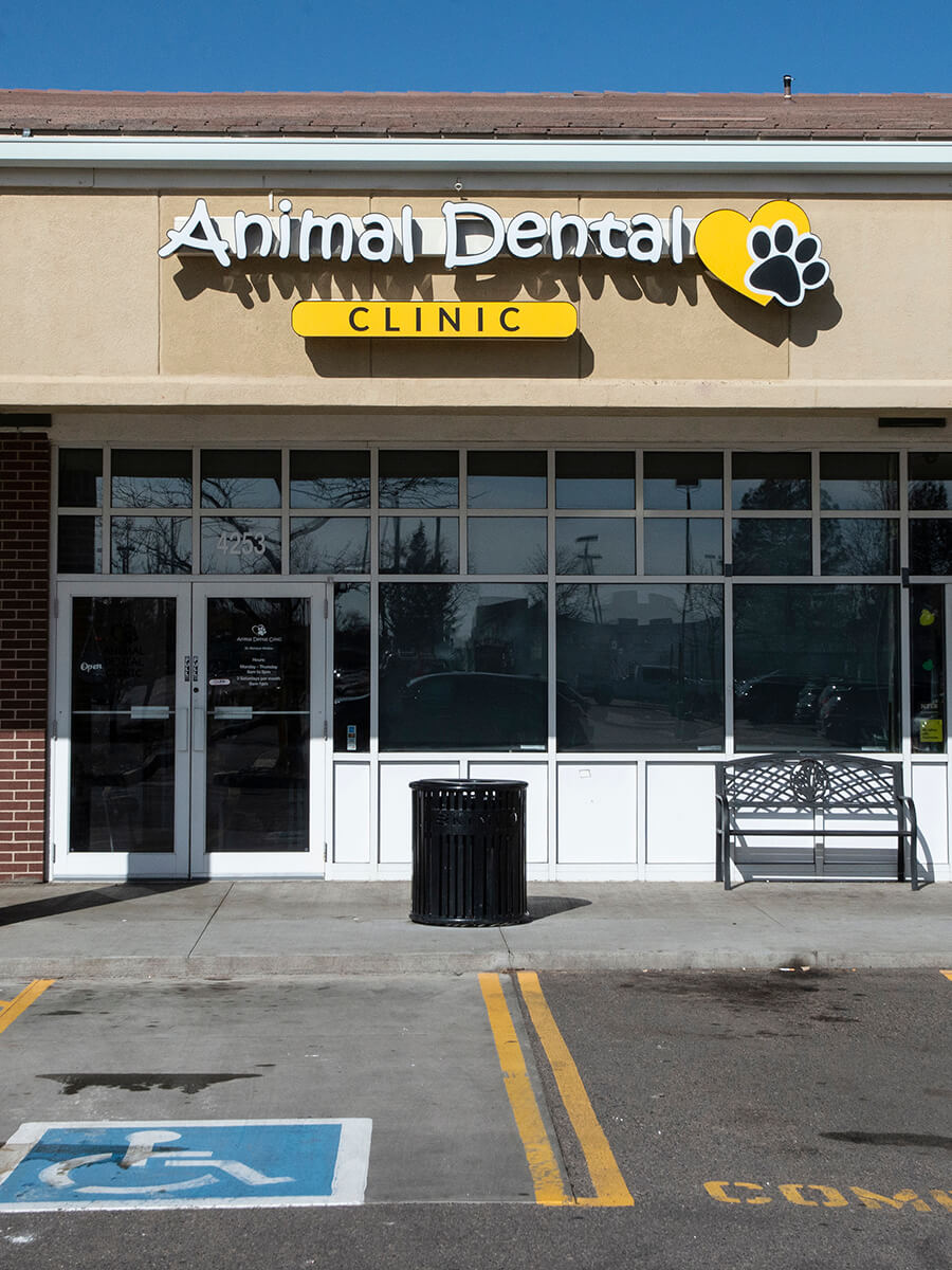 Animal Dental Clinic Building