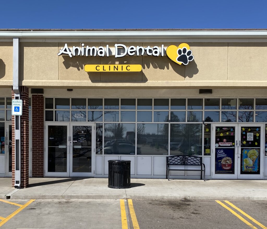 About Animal Dental Clinic Vet In Aurora, CO 80013