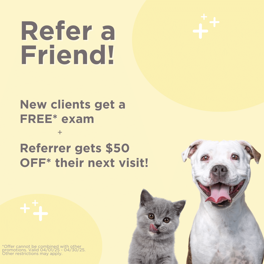 Animal Dental Clinic